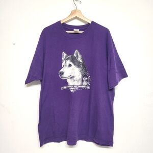 UOW vintage  Purple Husky Tee